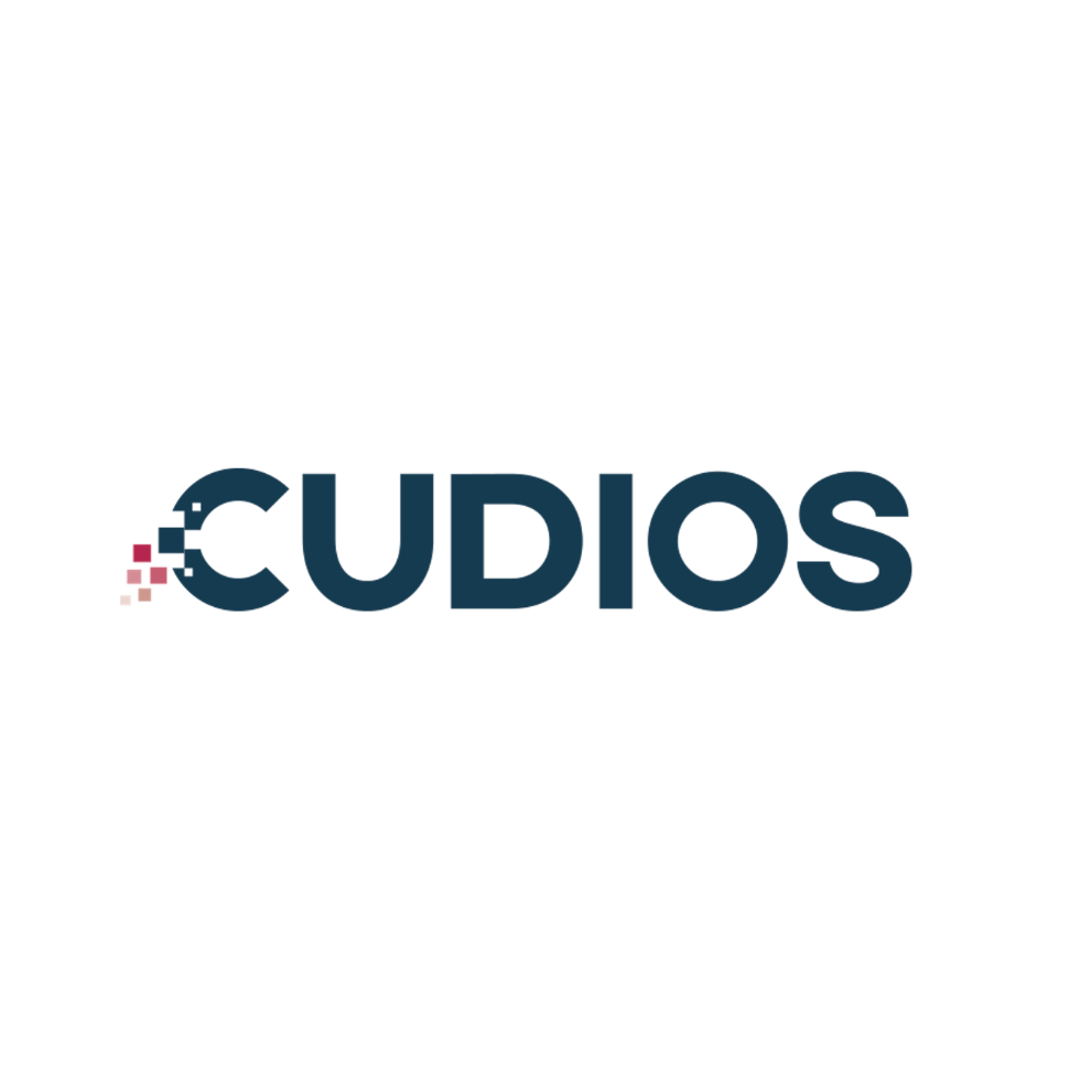 Cudios - control your project workflow